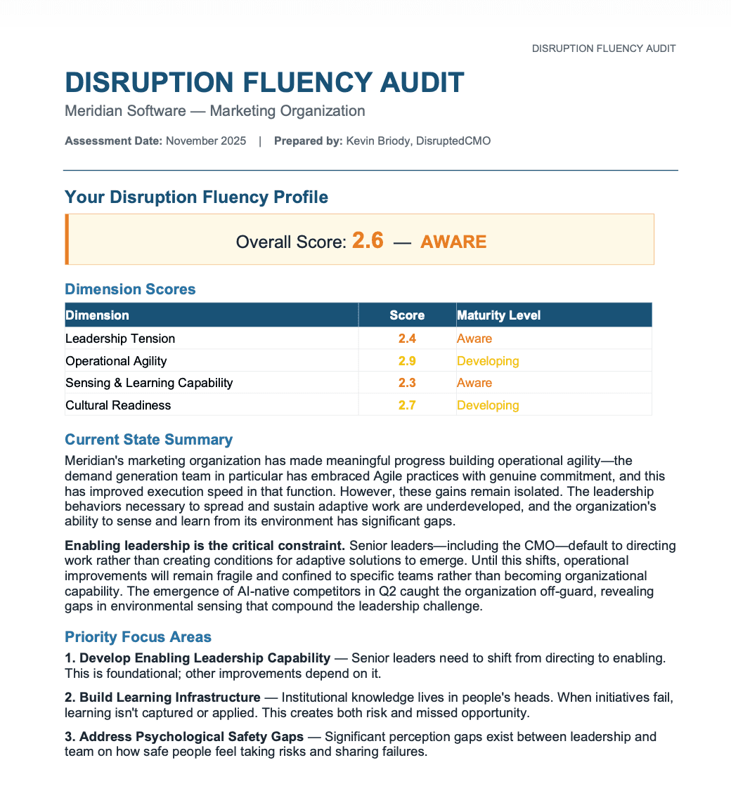 Sample Disruption-Fluency Audit Report