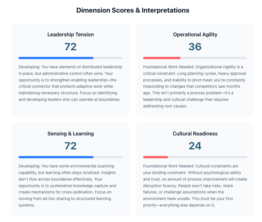 Dimension Scores and Interpretations